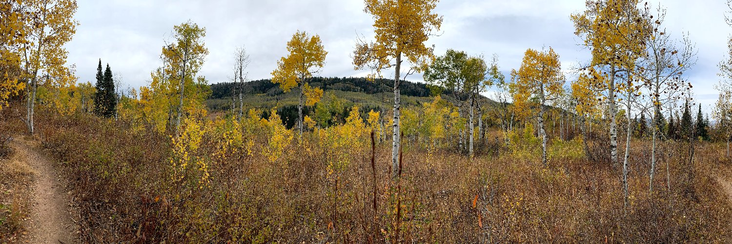 DaniKSloan's profile banner image