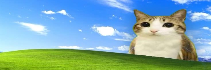 agile_planbased's profile banner image