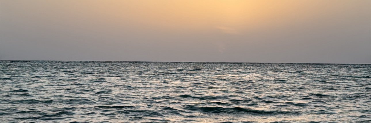Ivtrl's profile banner image