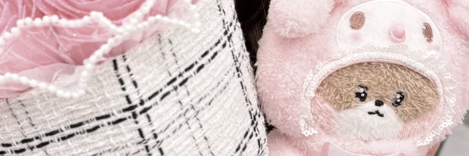 𝐍 banner