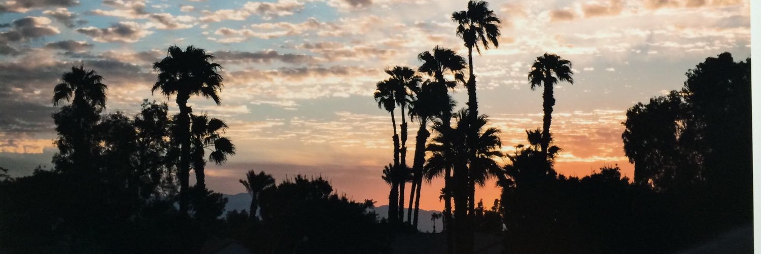 windyarend's profile banner image