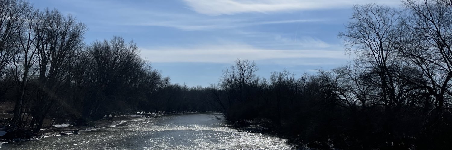 allie banner