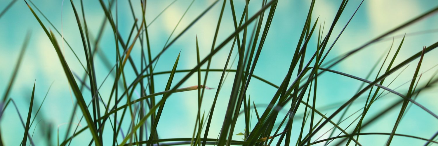 Alexander Johmann 🇪🇺🇺🇦🏳️‍🌈 banner