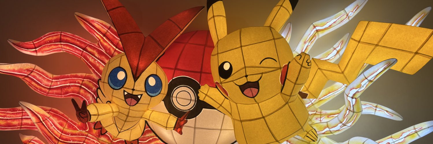 WS banner