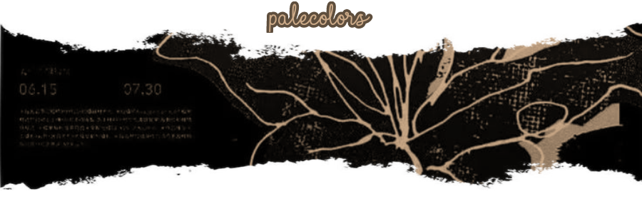 🎨 LCE Assistant Researcher 𝗘𝗻𝗮 banner