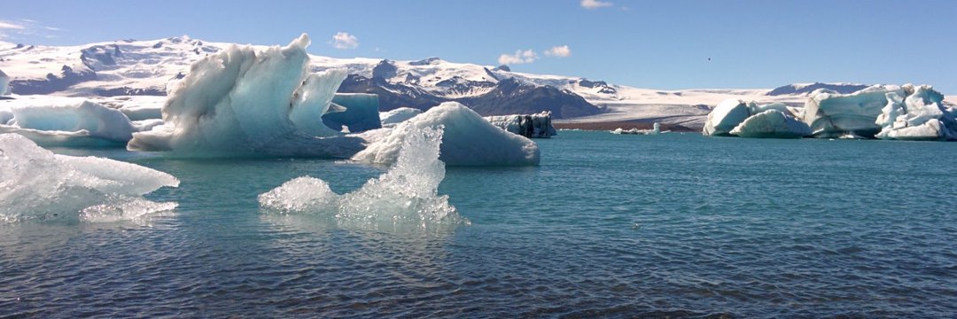 Dr. Maureen Williams banner