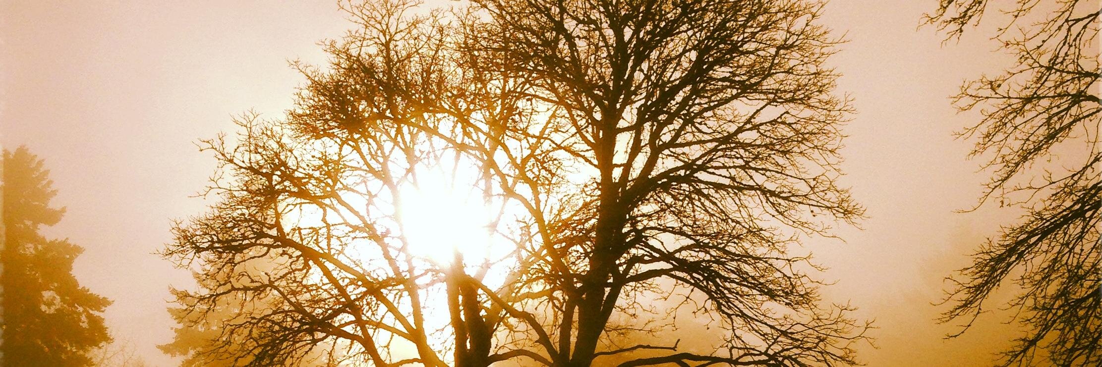 MikeWienick's profile banner image