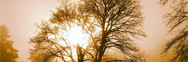 MikeWienick Profile Banner