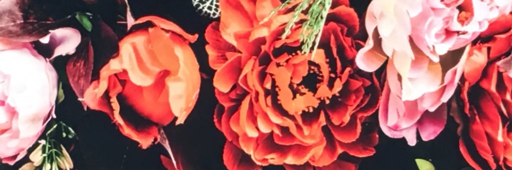 cordalee's profile banner image