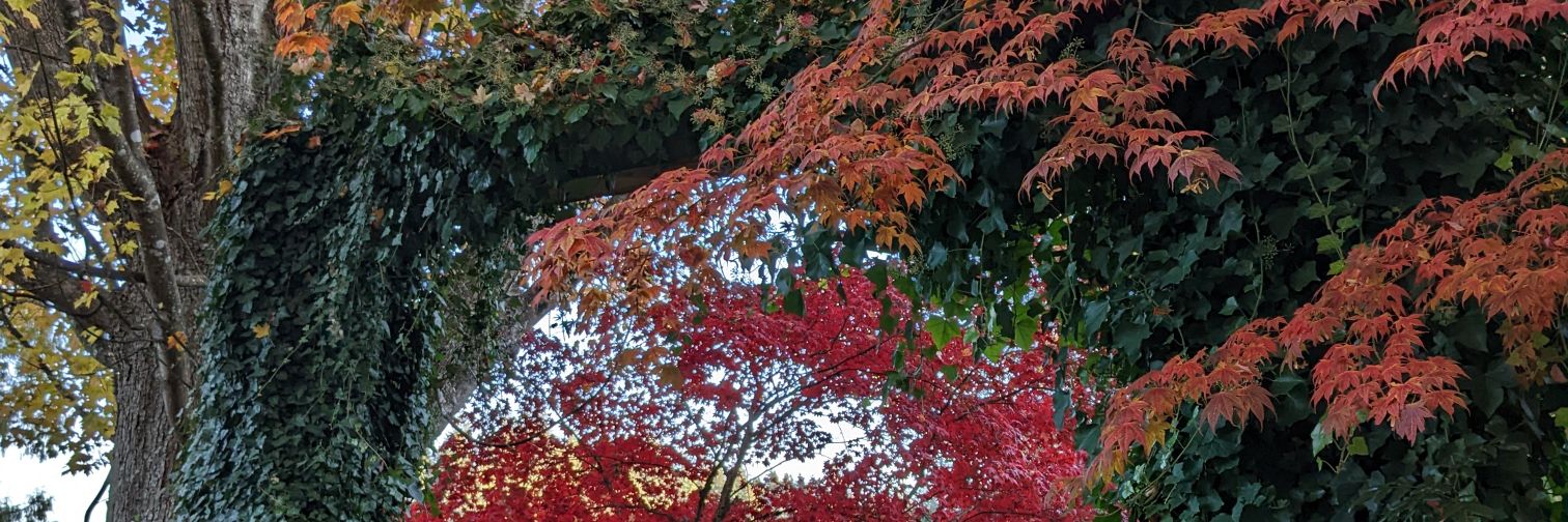 GreenfieldScott's profile banner image