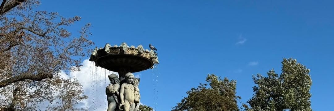 𝐘𝐞𝐨𝐧𝐣𝐮𝐧 banner