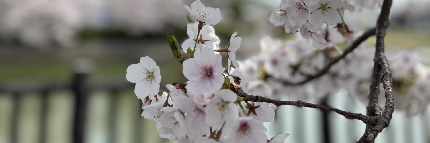 ライト@個人開発 banner