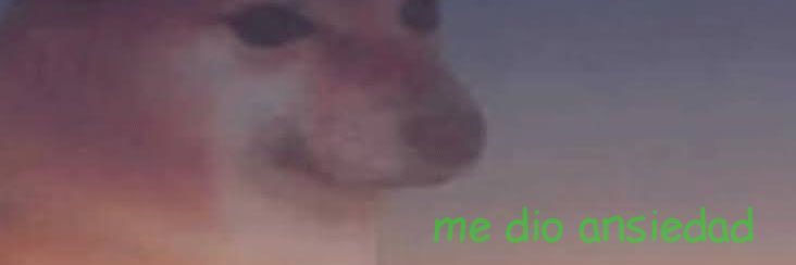 pathoppus's profile banner image