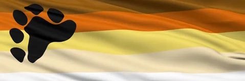 Romano Conte banner