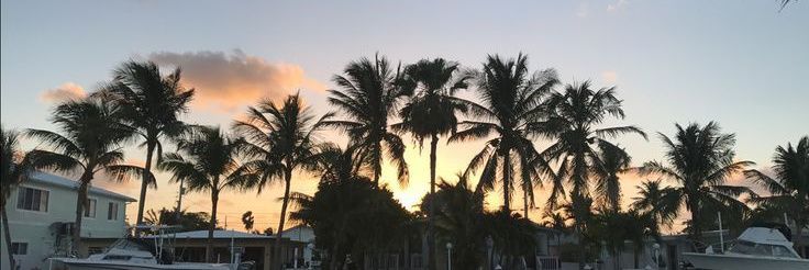 𝔸𝕜𝕪𝕠𝕓𝕒✟✟ banner