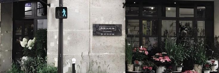 brigitte | mt after dm! banner