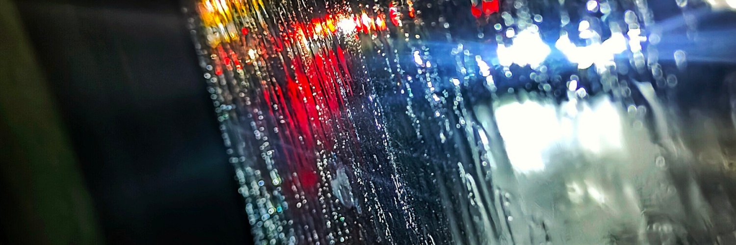 Nikki Sisodia banner