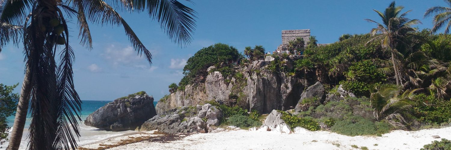 Cristian Martinez banner