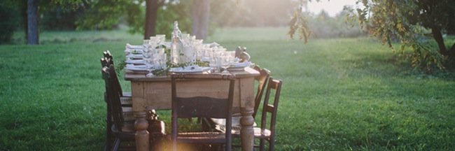 Rebecca Gallop banner