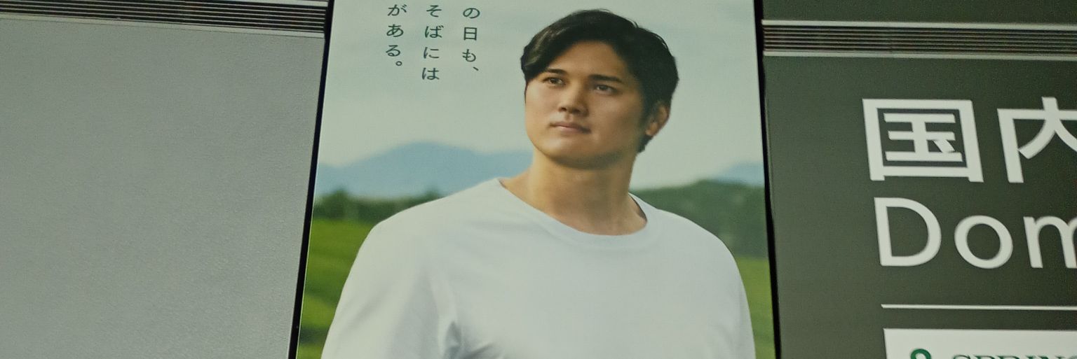 🦐 banner