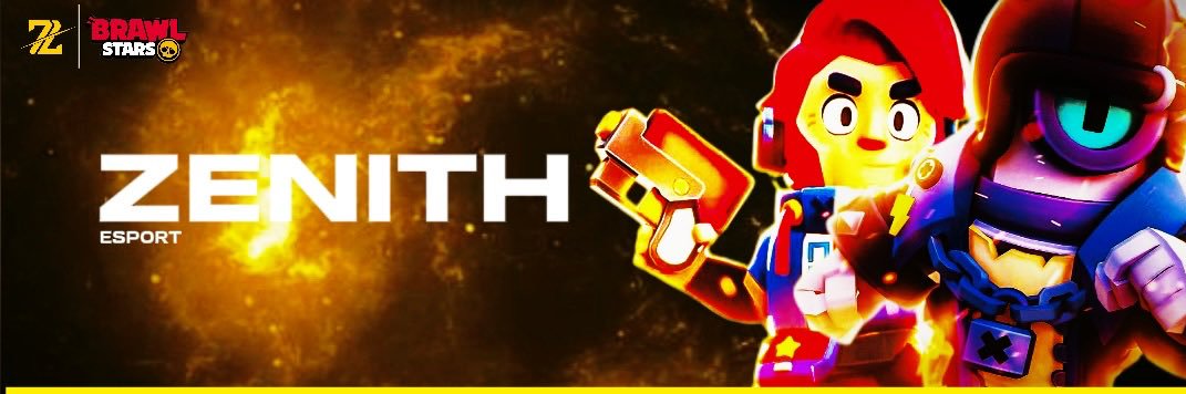 ZenithOrgBS banner