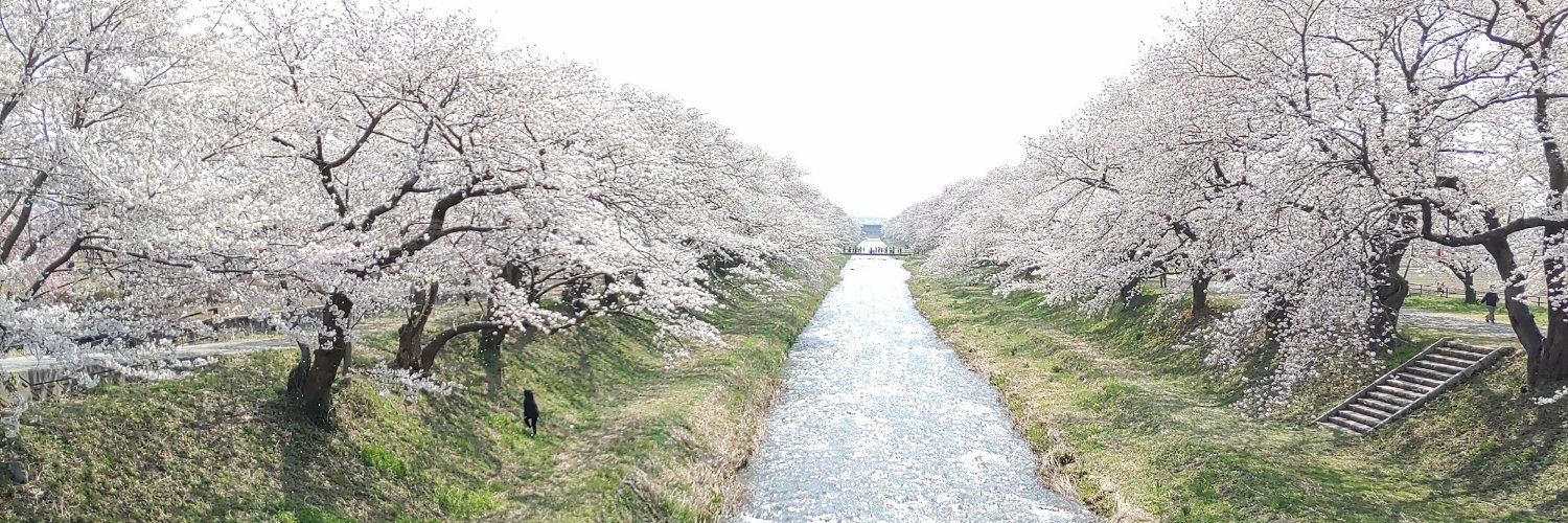 hitoshi_shimo's profile banner image