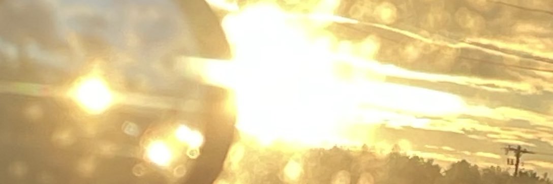 nookus banner