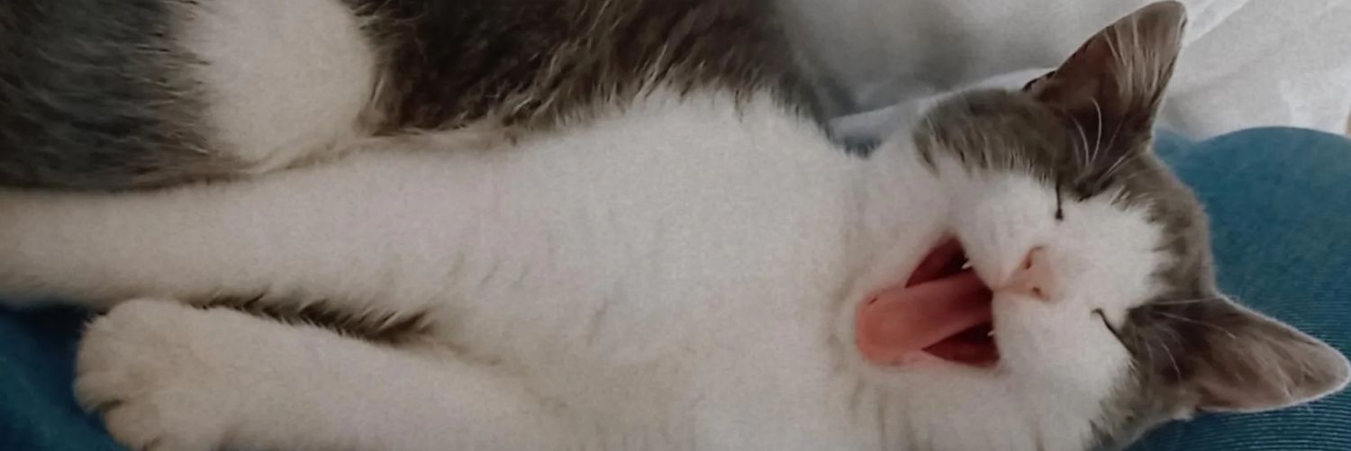 MiliiScott's profile banner image