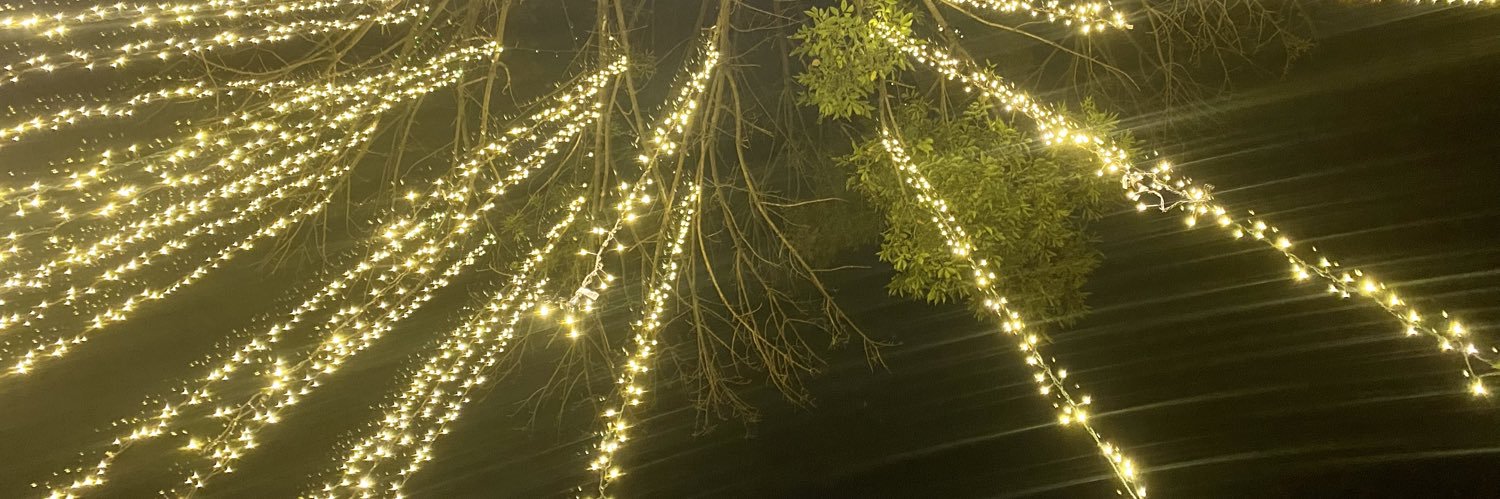 meridian_n's profile banner image
