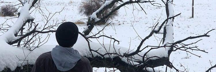RodrigoTmy's profile banner image