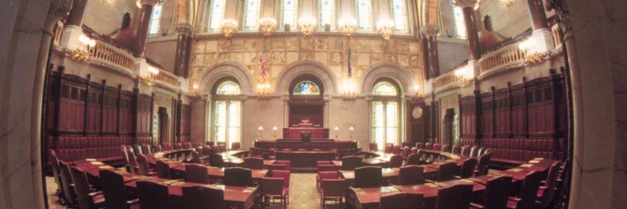 New York State Senate banner