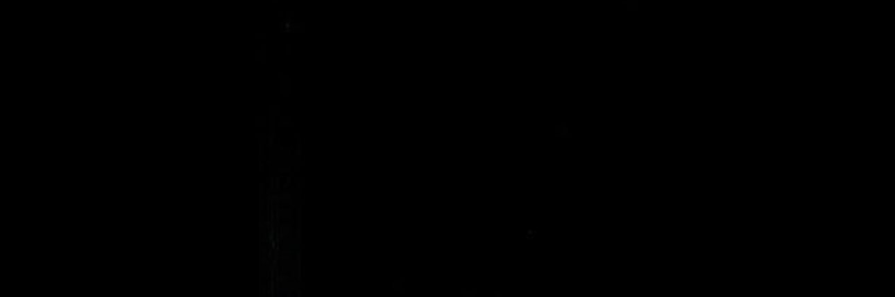 Bobblebeewbgp's profile banner image