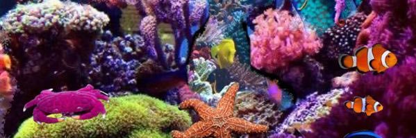 𝙫𝙞𝙣𝙠 banner