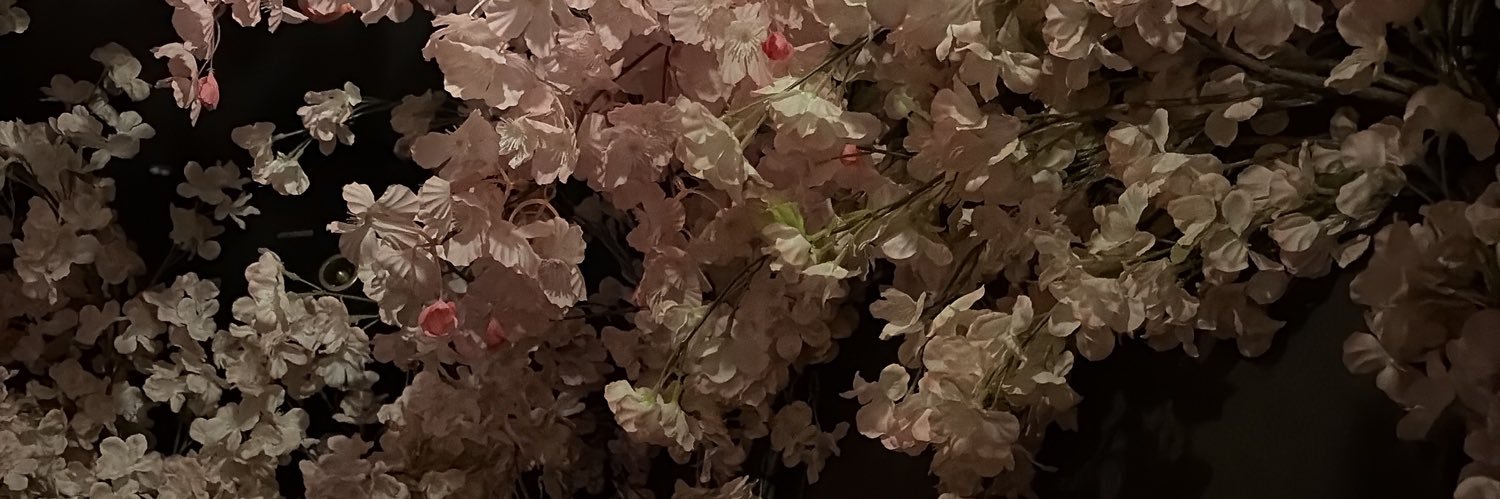 eviij7h's profile banner image