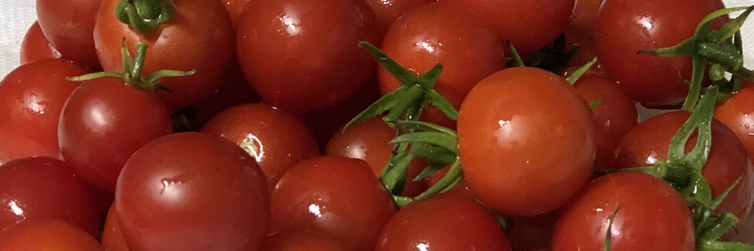 Andra Elizabeth banner