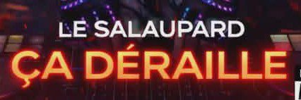 LE SALAUPARD. banner
