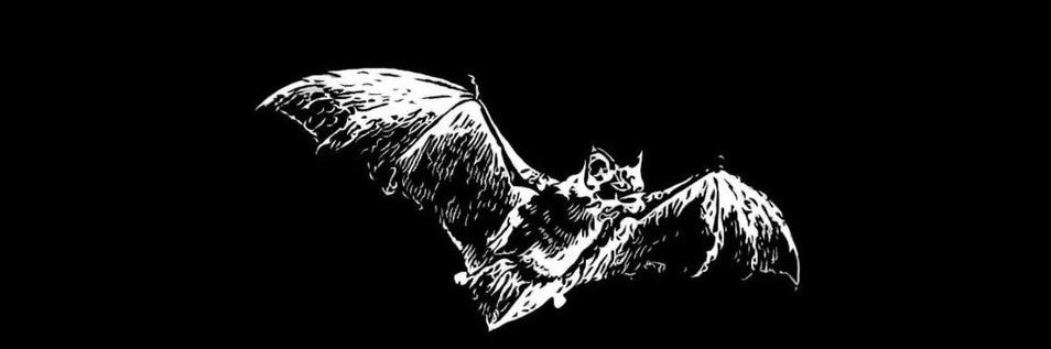 hee404notfound's profile banner image