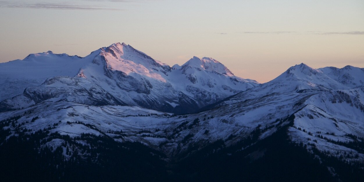 Karen Collins banner