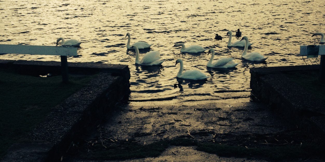 Kate Crawford banner