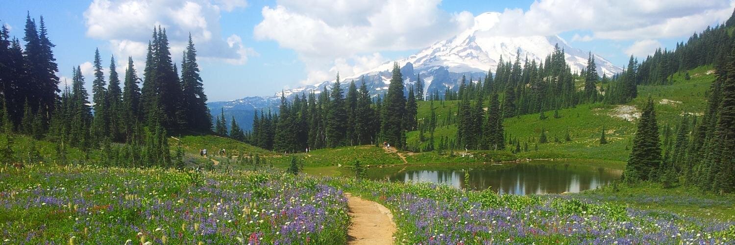 BethinSeattle's profile banner image