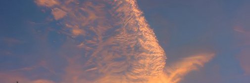 susc625486's profile banner image