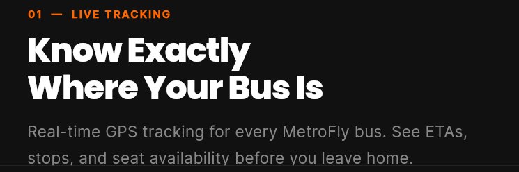 Metro Fly banner