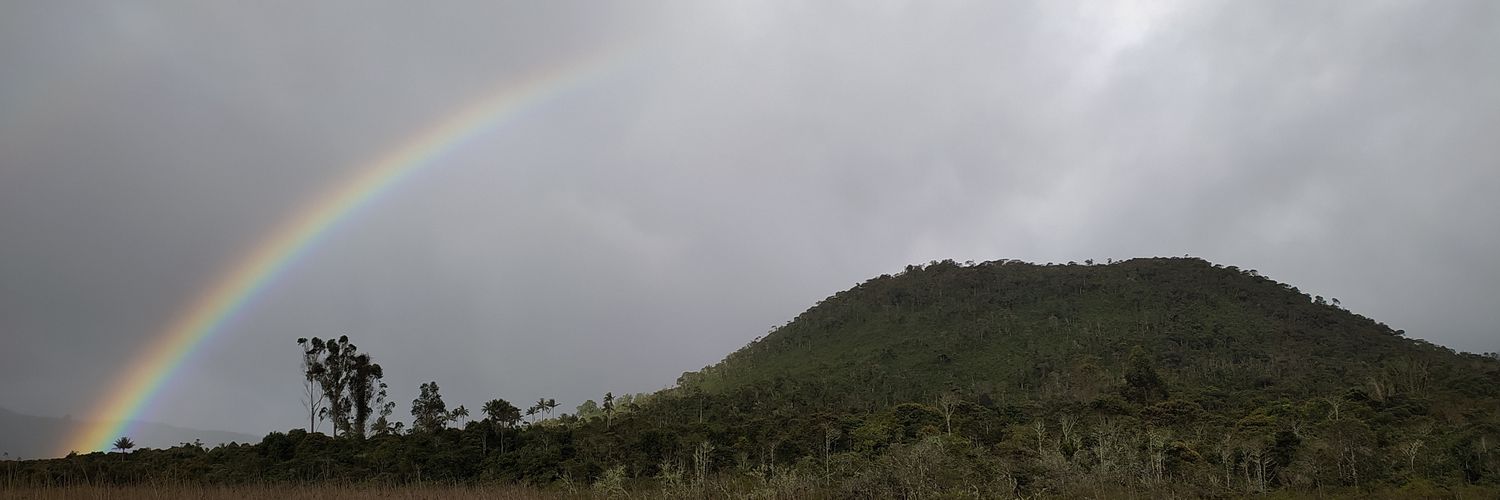 Anamtoro's profile banner image