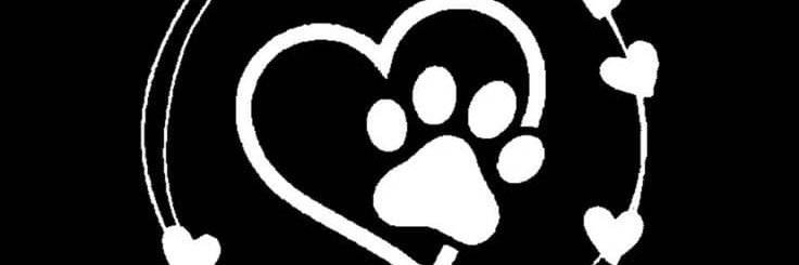 Diagh146768's profile banner image