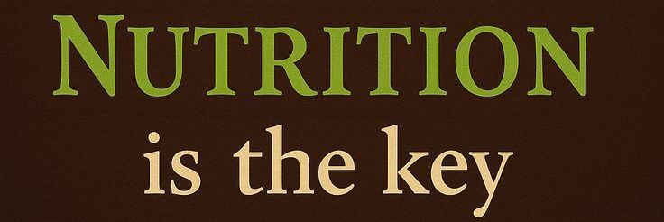 _daily_food_care_ banner