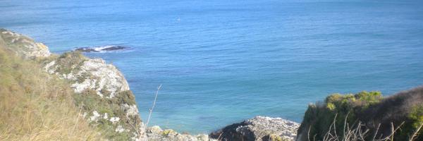 hsancerr Profile Banner