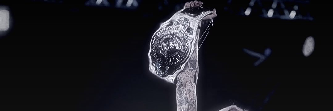 𝑻𝑯𝑬 𝑺𝑶𝑳 𝑺𝑵𝑨𝑻𝑪𝑯𝑬𝑹. banner