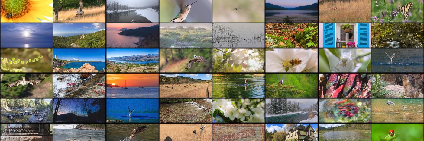 JLNaturePhotog's profile banner image