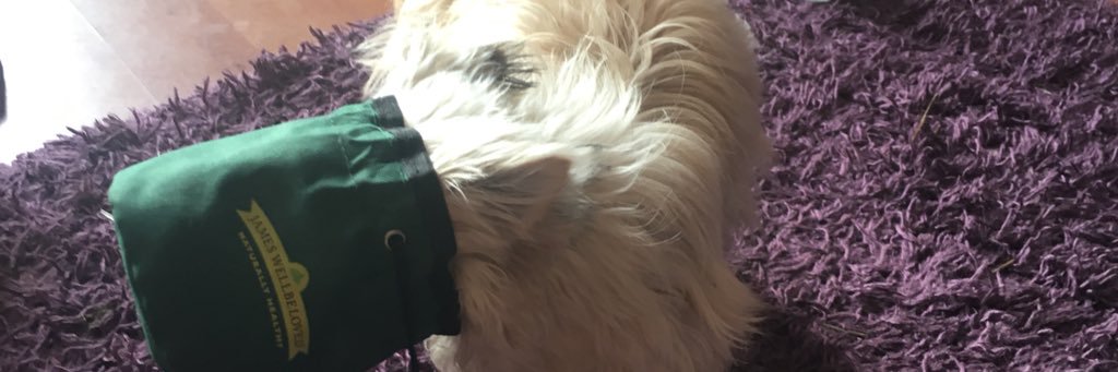 heatherlrobb's profile banner image