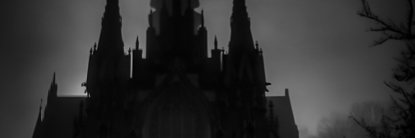 Kaiser Dmitriev banner